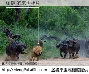 #孟婆来世照相馆# 【翟健 来世的未来相片】一碗梦婆汤，忘却了今生爱与痛，了无牵挂进入轮回。再相遇，已是天涯陌路人。可否借我一双慧眼，看清今生与来世？孟婆来世照相馆，触摸你的未来。翟健 来世的未来相片，有图有真相：