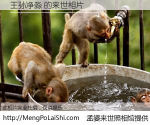 #孟婆来世照相馆# 【王孙净淼 来世的未来相片】一碗梦婆汤，忘却了今生爱与痛，了无牵挂进入轮回。再相遇，已是天涯陌路人。可否借我一双慧眼，看清今生与来世？孟婆来世照相馆，触摸你的未来。王孙净淼 来世的未来相片，有图有真相：