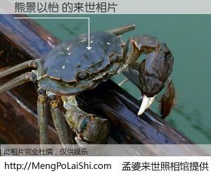 #孟婆来世照相馆# 【熊景以怡 来世的未来相片】一碗梦婆汤，忘却了今生爱与痛，了无牵挂进入轮回。再相遇，已是天涯陌路人。可否借我一双慧眼，看清今生与来世？孟婆来世照相馆，触摸你的未来。熊景以怡 来世的未来相片，有图有真相：