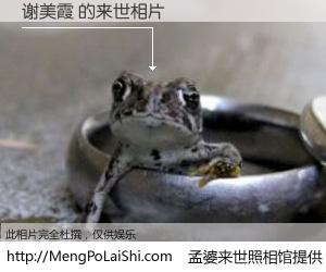 #孟婆来世照相馆# 【谢美霞 来世的未来相片】一碗梦婆汤，忘却了今生爱与痛，了无牵挂进入轮回。再相遇，已是天涯陌路人。可否借我一双慧眼，看清今生与来世？孟婆来世照相馆，触摸你的未来。谢美霞 来世的未来相片，有图有真相：