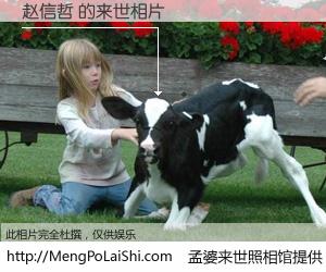 #孟婆来世照相馆# 【赵信哲 来世的未来相片】一碗梦婆汤，忘却了今生爱与痛，了无牵挂进入轮回。再相遇，已是天涯陌路人。可否借我一双慧眼，看清今生与来世？孟婆来世照相馆，触摸你的未来。赵信哲 来世的未来相片，有图有真相：
