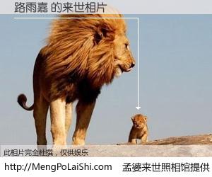 #孟婆来世照相馆# 【路雨嘉 来世的未来相片】一碗梦婆汤，忘却了今生爱与痛，了无牵挂进入轮回。再相遇，已是天涯陌路人。可否借我一双慧眼，看清今生与来世？孟婆来世照相馆，触摸你的未来。路雨嘉 来世的未来相片，有图有真相：