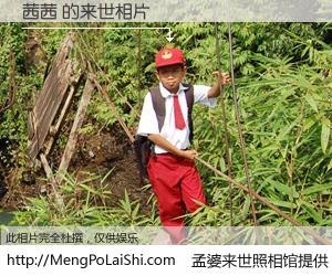 #孟婆来世照相馆# 【茜茜 来世的未来相片】一碗梦婆汤，忘却了今生爱与痛，了无牵挂进入轮回。再相遇，已是天涯陌路人。可否借我一双慧眼，看清今生与来世？孟婆来世照相馆，触摸你的未来。茜茜 来世的未来相片，有图有真相：