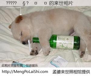 #孟婆来世照相馆# 【?????��?���� 来世的未来相片】一碗梦婆汤，忘却了今生爱与痛，了无牵挂进入轮回。再相遇，已是天涯陌路人。可否借我一双慧眼，看清今生与来世？孟婆来世照相馆，触摸你的未来。?????��?���� 来世的未来相片，有图有真相：