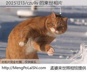 #孟婆来世照相馆# 【20251213/czu9v 来世的未来相片】一碗梦婆汤，忘却了今生爱与痛，了无牵挂进入轮回。再相遇，已是天涯陌路人。可否借我一双慧眼，看清今生与来世？孟婆来世照相馆，触摸你的未来。20251213/czu9v 来世的未来相片，有图有真相：