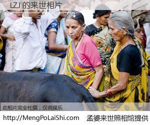 #孟婆来世照相馆# 【LZJ 来世的未来相片】一碗梦婆汤，忘却了今生爱与痛，了无牵挂进入轮回。再相遇，已是天涯陌路人。可否借我一双慧眼，看清今生与来世？孟婆来世照相馆，触摸你的未来。LZJ 来世的未来相片，有图有真相：