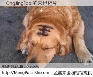 #孟婆来世照相馆# 【OngJingFoo 来世的未来相片】一碗梦婆汤，忘却了今生爱与痛，了无牵挂进入轮回。再相遇，已是天涯陌路人。可否借我一双慧眼，看清今生与来世？孟婆来世照相馆，触摸你的未来。OngJingFoo 来世的未来相片，有图有真相：