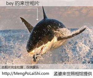 #孟婆来世照相馆# 【bey 来世的未来相片】一碗梦婆汤，忘却了今生爱与痛，了无牵挂进入轮回。再相遇，已是天涯陌路人。可否借我一双慧眼，看清今生与来世？孟婆来世照相馆，触摸你的未来。bey 来世的未来相片，有图有真相：