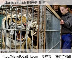#孟婆来世照相馆# 【danish salleh 来世的未来相片】一碗梦婆汤，忘却了今生爱与痛，了无牵挂进入轮回。再相遇，已是天涯陌路人。可否借我一双慧眼，看清今生与来世？孟婆来世照相馆，触摸你的未来。danish salleh 来世的未来相片，有图有真相：