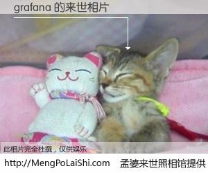 #孟婆来世照相馆# 【grafana 来世的未来相片】一碗梦婆汤，忘却了今生爱与痛，了无牵挂进入轮回。再相遇，已是天涯陌路人。可否借我一双慧眼，看清今生与来世？孟婆来世照相馆，触摸你的未来。grafana 来世的未来相片，有图有真相：