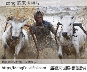 #孟婆来世照相馆# 【zang 来世的未来相片】一碗梦婆汤，忘却了今生爱与痛，了无牵挂进入轮回。再相遇，已是天涯陌路人。可否借我一双慧眼，看清今生与来世？孟婆来世照相馆，触摸你的未来。zang 来世的未来相片，有图有真相：