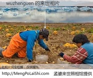 #孟婆来世照相馆# 【wuzhenguen 来世的未来相片】一碗梦婆汤，忘却了今生爱与痛，了无牵挂进入轮回。再相遇，已是天涯陌路人。可否借我一双慧眼，看清今生与来世？孟婆来世照相馆，触摸你的未来。wuzhenguen 来世的未来相片，有图有真相：