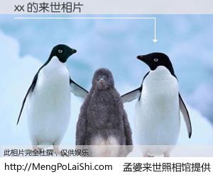 #孟婆来世照相馆# 【xx 来世的未来相片】一碗梦婆汤，忘却了今生爱与痛，了无牵挂进入轮回。再相遇，已是天涯陌路人。可否借我一双慧眼，看清今生与来世？孟婆来世照相馆，触摸你的未来。xx 来世的未来相片，有图有真相：