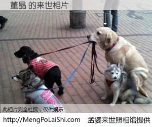 #孟婆来世照相馆# 【董晶 来世的未来相片】一碗梦婆汤，忘却了今生爱与痛，了无牵挂进入轮回。再相遇，已是天涯陌路人。可否借我一双慧眼，看清今生与来世？孟婆来世照相馆，触摸你的未来。董晶 来世的未来相片，有图有真相：
