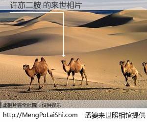 #孟婆来世照相馆# 【许亦二胺 来世的未来相片】一碗梦婆汤，忘却了今生爱与痛，了无牵挂进入轮回。再相遇，已是天涯陌路人。可否借我一双慧眼，看清今生与来世？孟婆来世照相馆，触摸你的未来。许亦二胺 来世的未来相片，有图有真相：