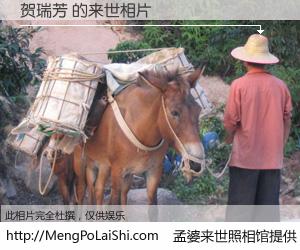 #孟婆来世照相馆# 【贺瑞芳 来世的未来相片】一碗梦婆汤，忘却了今生爱与痛，了无牵挂进入轮回。再相遇，已是天涯陌路人。可否借我一双慧眼，看清今生与来世？孟婆来世照相馆，触摸你的未来。贺瑞芳 来世的未来相片，有图有真相：