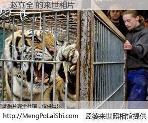 #孟婆来世照相馆# 【赵立全 来世的未来相片】一碗梦婆汤，忘却了今生爱与痛，了无牵挂进入轮回。再相遇，已是天涯陌路人。可否借我一双慧眼，看清今生与来世？孟婆来世照相馆，触摸你的未来。赵立全 来世的未来相片，有图有真相：