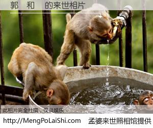 #孟婆来世照相馆# 【郭賴和華 来世的未来相片】一碗梦婆汤，忘却了今生爱与痛，了无牵挂进入轮回。再相遇，已是天涯陌路人。可否借我一双慧眼，看清今生与来世？孟婆来世照相馆，触摸你的未来。郭賴和華 来世的未来相片，有图有真相：