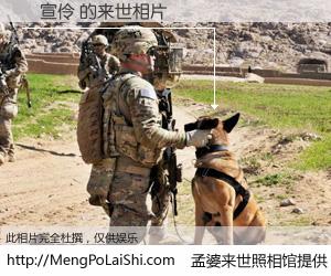 #孟婆来世照相馆# 【陳宣伶 来世的未来相片】一碗梦婆汤，忘却了今生爱与痛，了无牵挂进入轮回。再相遇，已是天涯陌路人。可否借我一双慧眼，看清今生与来世？孟婆来世照相馆，触摸你的未来。陳宣伶 来世的未来相片，有图有真相：