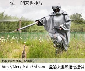 #孟婆来世照相馆# 【陳弘楨 来世的未来相片】一碗梦婆汤，忘却了今生爱与痛，了无牵挂进入轮回。再相遇，已是天涯陌路人。可否借我一双慧眼，看清今生与来世？孟婆来世照相馆，触摸你的未来。陳弘楨 来世的未来相片，有图有真相：