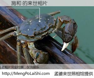#孟婆来世照相馆# 【陳施和 来世的未来相片】一碗梦婆汤，忘却了今生爱与痛，了无牵挂进入轮回。再相遇，已是天涯陌路人。可否借我一双慧眼，看清今生与来世？孟婆来世照相馆，触摸你的未来。陳施和 来世的未来相片，有图有真相：