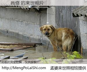 #孟婆来世照相馆# 【鐘尚修 来世的未来相片】一碗梦婆汤，忘却了今生爱与痛，了无牵挂进入轮回。再相遇，已是天涯陌路人。可否借我一双慧眼，看清今生与来世？孟婆来世照相馆，触摸你的未来。鐘尚修 来世的未来相片，有图有真相：