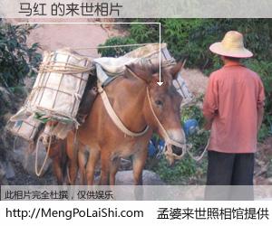 #孟婆来世照相馆# 【马红 来世的未来相片】一碗梦婆汤，忘却了今生爱与痛，了无牵挂进入轮回。再相遇，已是天涯陌路人。可否借我一双慧眼，看清今生与来世？孟婆来世照相馆，触摸你的未来。马红 来世的未来相片，有图有真相：