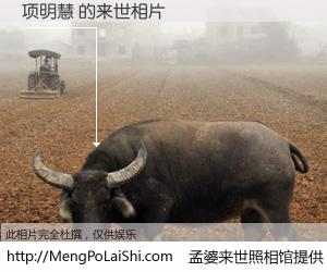 #孟婆来世照相馆# 【项明慧 来世的未来相片】一碗梦婆汤，忘却了今生爱与痛，了无牵挂进入轮回。再相遇，已是天涯陌路人。可否借我一双慧眼，看清今生与来世？孟婆来世照相馆，触摸你的未来。项明慧 来世的未来相片，有图有真相：