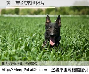 #孟婆来世照相馆# 【黄玥莹 来世的未来相片】一碗梦婆汤，忘却了今生爱与痛，了无牵挂进入轮回。再相遇，已是天涯陌路人。可否借我一双慧眼，看清今生与来世？孟婆来世照相馆，触摸你的未来。黄玥莹 来世的未来相片，有图有真相：