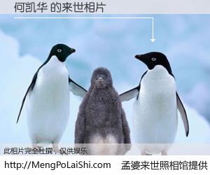#孟婆来世照相馆# 【何凯华 来世的未来相片】一碗梦婆汤，忘却了今生爱与痛，了无牵挂进入轮回。再相遇，已是天涯陌路人。可否借我一双慧眼，看清今生与来世？孟婆来世照相馆，触摸你的未来。何凯华 来世的未来相片，有图有真相：