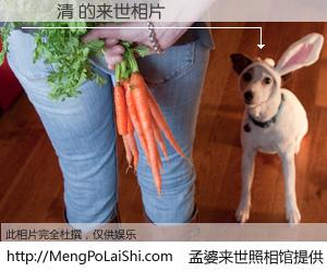 #孟婆来世照相馆# 【劉華清 来世的未来相片】一碗梦婆汤，忘却了今生爱与痛，了无牵挂进入轮回。再相遇，已是天涯陌路人。可否借我一双慧眼，看清今生与来世？孟婆来世照相馆，触摸你的未来。劉華清 来世的未来相片，有图有真相：