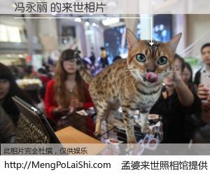 #孟婆来世照相馆# 【冯永丽 来世的未来相片】一碗梦婆汤，忘却了今生爱与痛，了无牵挂进入轮回。再相遇，已是天涯陌路人。可否借我一双慧眼，看清今生与来世？孟婆来世照相馆，触摸你的未来。冯永丽 来世的未来相片，有图有真相：