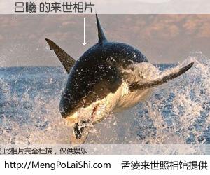 #孟婆来世照相馆# 【吕曦 来世的未来相片】一碗梦婆汤，忘却了今生爱与痛，了无牵挂进入轮回。再相遇，已是天涯陌路人。可否借我一双慧眼，看清今生与来世？孟婆来世照相馆，触摸你的未来。吕曦 来世的未来相片，有图有真相：