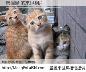 #孟婆来世照相馆# 【唐温涵 来世的未来相片】一碗梦婆汤，忘却了今生爱与痛，了无牵挂进入轮回。再相遇，已是天涯陌路人。可否借我一双慧眼，看清今生与来世？孟婆来世照相馆，触摸你的未来。唐温涵 来世的未来相片，有图有真相：