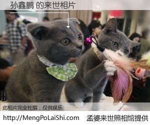 #孟婆来世照相馆# 【孙鑫鹏 来世的未来相片】一碗梦婆汤，忘却了今生爱与痛，了无牵挂进入轮回。再相遇，已是天涯陌路人。可否借我一双慧眼，看清今生与来世？孟婆来世照相馆，触摸你的未来。孙鑫鹏 来世的未来相片，有图有真相：