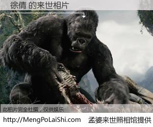 #孟婆来世照相馆# 【徐倩 来世的未来相片】一碗梦婆汤，忘却了今生爱与痛，了无牵挂进入轮回。再相遇，已是天涯陌路人。可否借我一双慧眼，看清今生与来世？孟婆来世照相馆，触摸你的未来。徐倩 来世的未来相片，有图有真相：