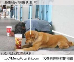 #孟婆来世照相馆# 【徐晨怡 来世的未来相片】一碗梦婆汤，忘却了今生爱与痛，了无牵挂进入轮回。再相遇，已是天涯陌路人。可否借我一双慧眼，看清今生与来世？孟婆来世照相馆，触摸你的未来。徐晨怡 来世的未来相片，有图有真相：