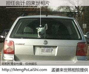 #孟婆来世照相馆# 【担任会计 来世的未来相片】一碗梦婆汤，忘却了今生爱与痛，了无牵挂进入轮回。再相遇，已是天涯陌路人。可否借我一双慧眼，看清今生与来世？孟婆来世照相馆，触摸你的未来。担任会计 来世的未来相片，有图有真相：