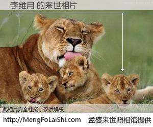 #孟婆来世照相馆# 【李维月 来世的未来相片】一碗梦婆汤，忘却了今生爱与痛，了无牵挂进入轮回。再相遇，已是天涯陌路人。可否借我一双慧眼，看清今生与来世？孟婆来世照相馆，触摸你的未来。李维月 来世的未来相片，有图有真相：