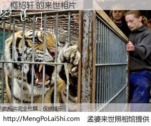#孟婆来世照相馆# 【柯绍轩 来世的未来相片】一碗梦婆汤，忘却了今生爱与痛，了无牵挂进入轮回。再相遇，已是天涯陌路人。可否借我一双慧眼，看清今生与来世？孟婆来世照相馆，触摸你的未来。柯绍轩 来世的未来相片，有图有真相：