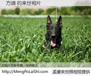 #孟婆来世照相馆# 【方靖 来世的未来相片】一碗梦婆汤，忘却了今生爱与痛，了无牵挂进入轮回。再相遇，已是天涯陌路人。可否借我一双慧眼，看清今生与来世？孟婆来世照相馆，触摸你的未来。方靖 来世的未来相片，有图有真相：