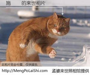 #孟婆来世照相馆# 【施國証 来世的未来相片】一碗梦婆汤，忘却了今生爱与痛，了无牵挂进入轮回。再相遇，已是天涯陌路人。可否借我一双慧眼，看清今生与来世？孟婆来世照相馆，触摸你的未来。施國証 来世的未来相片，有图有真相：