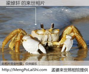 #孟婆来世照相馆# 【梁焯轩 来世的未来相片】一碗梦婆汤，忘却了今生爱与痛，了无牵挂进入轮回。再相遇，已是天涯陌路人。可否借我一双慧眼，看清今生与来世？孟婆来世照相馆，触摸你的未来。梁焯轩 来世的未来相片，有图有真相：