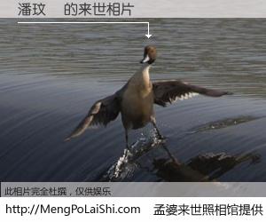 #孟婆来世照相馆# 【潘玟蒨 来世的未来相片】一碗梦婆汤，忘却了今生爱与痛，了无牵挂进入轮回。再相遇，已是天涯陌路人。可否借我一双慧眼，看清今生与来世？孟婆来世照相馆，触摸你的未来。潘玟蒨 来世的未来相片，有图有真相：