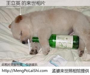 #孟婆来世照相馆# 【王立英 来世的未来相片】一碗梦婆汤，忘却了今生爱与痛，了无牵挂进入轮回。再相遇，已是天涯陌路人。可否借我一双慧眼，看清今生与来世？孟婆来世照相馆，触摸你的未来。王立英 来世的未来相片，有图有真相：