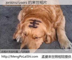 #孟婆来世照相馆# 【.jenkins/users 来世的未来相片】一碗梦婆汤，忘却了今生爱与痛，了无牵挂进入轮回。再相遇，已是天涯陌路人。可否借我一双慧眼，看清今生与来世？孟婆来世照相馆，触摸你的未来。.jenkins/users 来世的未来相片，有图有真相：
