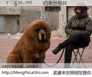 #孟婆来世照相馆# 【?��??-???�� 来世的未来相片】一碗梦婆汤，忘却了今生爱与痛，了无牵挂进入轮回。再相遇，已是天涯陌路人。可否借我一双慧眼，看清今生与来世？孟婆来世照相馆，触摸你的未来。?��??-???�� 来世的未来相片，有图有真相：