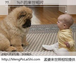 #孟婆来世照相馆# 【??��?o? 来世的未来相片】一碗梦婆汤，忘却了今生爱与痛，了无牵挂进入轮回。再相遇，已是天涯陌路人。可否借我一双慧眼，看清今生与来世？孟婆来世照相馆，触摸你的未来。??��?o? 来世的未来相片，有图有真相：