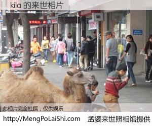 #孟婆来世照相馆# 【kila 来世的未来相片】一碗梦婆汤，忘却了今生爱与痛，了无牵挂进入轮回。再相遇，已是天涯陌路人。可否借我一双慧眼，看清今生与来世？孟婆来世照相馆，触摸你的未来。kila 来世的未来相片，有图有真相：