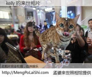 #孟婆来世照相馆# 【kelly 来世的未来相片】一碗梦婆汤，忘却了今生爱与痛，了无牵挂进入轮回。再相遇，已是天涯陌路人。可否借我一双慧眼，看清今生与来世？孟婆来世照相馆，触摸你的未来。kelly 来世的未来相片，有图有真相：